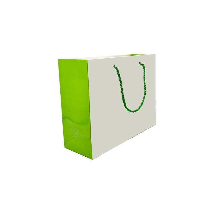 Customized Printing LOGO Wholesale Paper Bags for Retail Stores Restaurants and Catering Packaging Shopping Bag