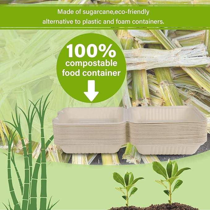 Disposable Heavy-Duty Clamshell Food Container Made Environmentally Friendly Biodegradable Sugarcane Fiber Paper Target Audience