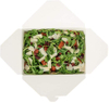 Disposable Sustainable White Paper 49-ounce Rectangular Takeout Box for Takeout or Picnics
