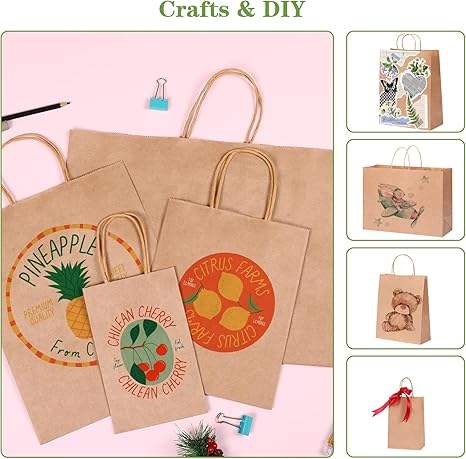 Gift Bag Paper Bag with Handle Kraft Shopping Lunch Custom Paper Bags