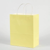 Medium Kraft Paper Gift Bags with Handles Pastel Offset Printing Recycled Materials for Crafts Customizable Logo Shopping Bag