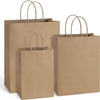 Brown Paper Gift Bag with Handle in Bulk Ideal for Shopping Birthdays Weddings Merchandise and Business Parties