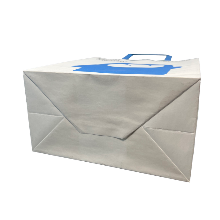 Custom Printed Shopper Gift Craft Paper Bag High Quality Kraft Paper Bag with Handle Twisted Handle Shopping Bag