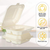Food Container 8 X 8 Inch Disposable Fast Food Carton with Lid
