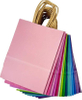 Bulk Medium Kraft Paper Bags with Handles 16 Different Senior Light Colors for Gift Promotion Craft Use Shopping Bag