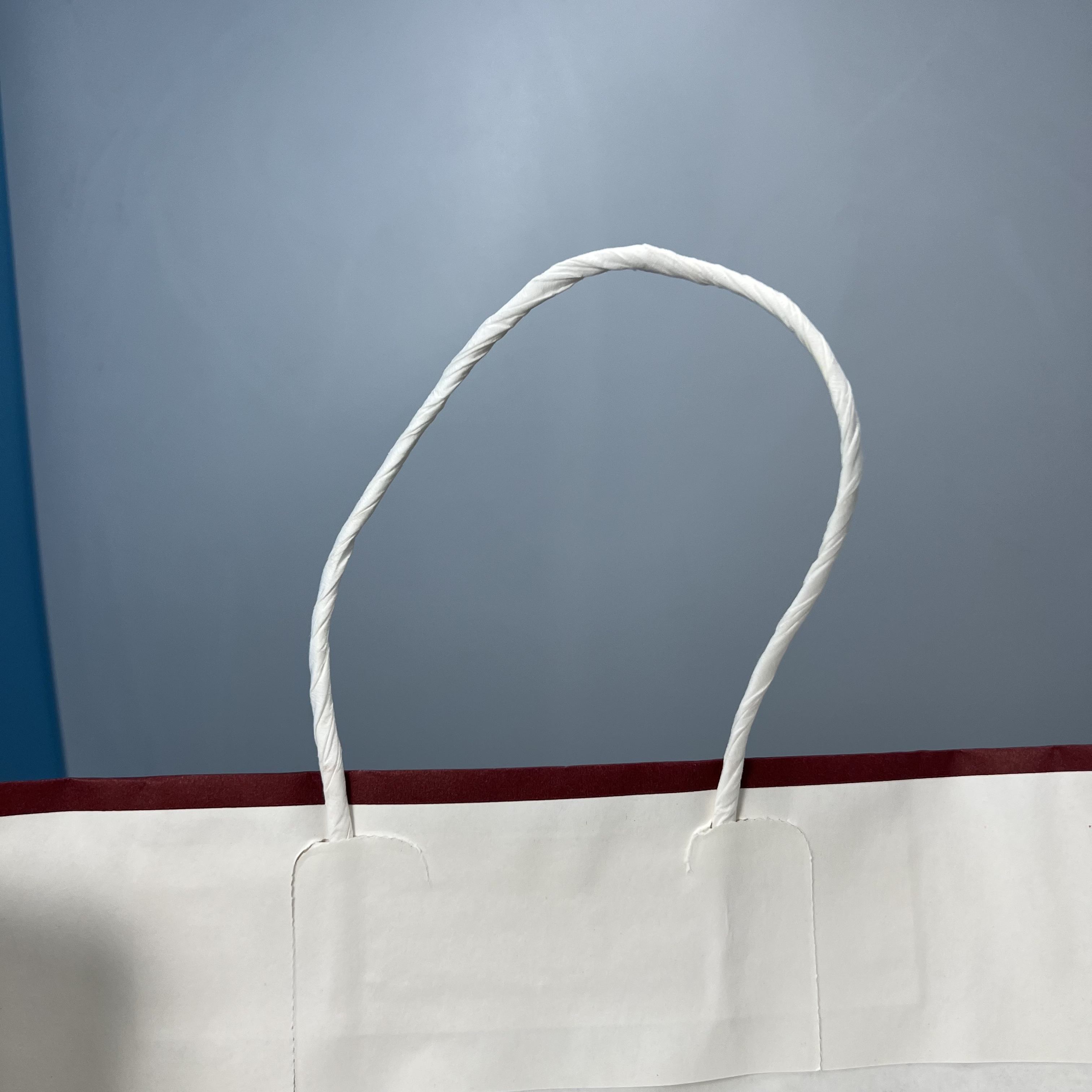 Paper Bags for Clothing Retail Recycled Brown Kraft Paper Bags with Handles Custom Made with Your Own logo Shopping Bag