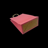 Customized Kraft Paper Bags for Simple Packaging of Candies Color Scheme Gift Bags for Retail Sale Shopping Bag