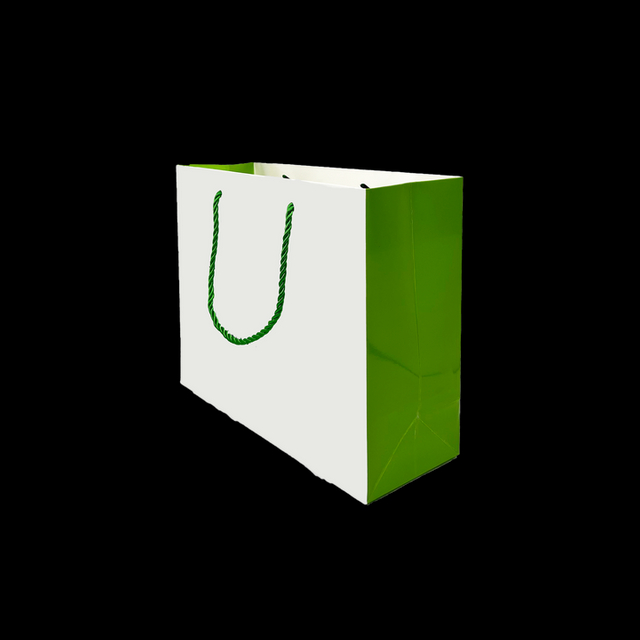 Customized Printing LOGO Wholesale Paper Bags for Retail Stores Restaurants and Catering Packaging Shopping Bag