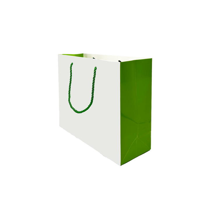 Customized Printing LOGO Wholesale Paper Bags for Retail Stores Restaurants and Catering Packaging Shopping Bag