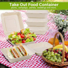 Disposable Heavy-Duty Clamshell Food Container Made Environmentally Friendly Biodegradable Sugarcane Fiber Paper Target Audience