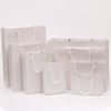Versatile Eco-Customized Bags | for Gift Food Apparel in Biodegradable Paper and Plastic