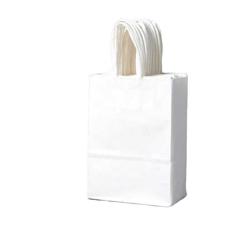 Brown Paper Bag with a Handle Available in Various Sizes and Patterns Suitable for Retail Packaging and Shopping Bags