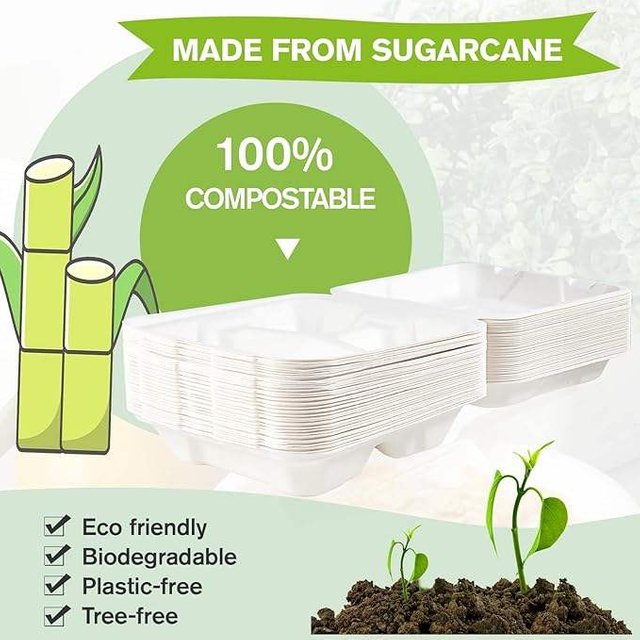 Disposable 3-Compartment Heavy-Duty To-Go Boxes Clamshell Take Out Food Containers Made of Paper & PET Food Box Food Box