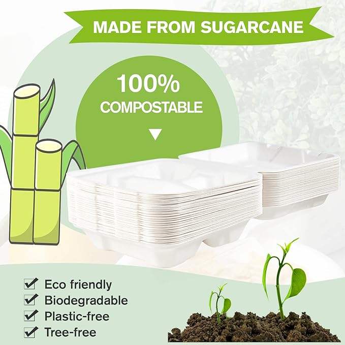 Disposable 3-Compartment Heavy-Duty To-Go Boxes Clamshell Take Out Food Containers Made of Paper & PET Food Box Food Box