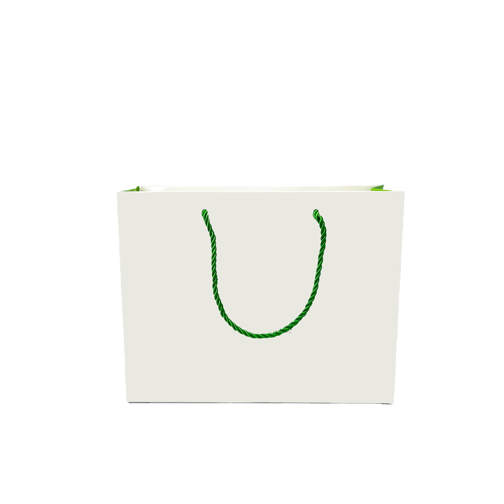 Customized Printing LOGO Wholesale Paper Bags for Retail Stores Restaurants and Catering Packaging Shopping Bag