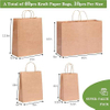 Gift Bag Paper Bag with Handle Kraft Shopping Lunch Custom Paper Bags