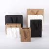 High Quality Biodegradable Eco-Customized Paper Bags for Food Storage Apparel Packaging Gift Wrapping Durable Plastic Variants
