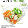 Clear Plastic Takeout Containers, clear Plastic square Hinged Food Containers with LIDS, Disposable Clamshell Dessert Containers