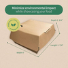 Clamshell and Vent Clamshell Containers, Recyclable Cardboard Boxes Catering Disposable Packaging Boxes Burger Box